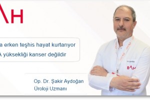 Prostat Rahatsızlıklarında PSA Testi ve Teşhis